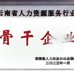 云南省人力資源服務行業骨干企業及領軍人物